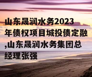 山东晟润水务2023年债权项目城投债定融,山东晟润水务集团总经理张强