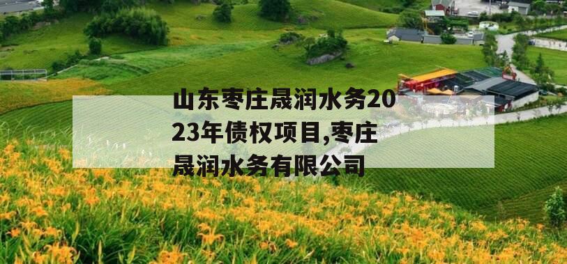 山东枣庄晟润水务2023年债权项目,枣庄晟润水务有限公司