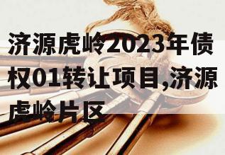 济源虎岭2023年债权01转让项目,济源虎岭片区