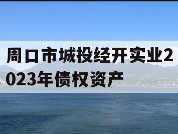 周口市城投经开实业2023年债权资产