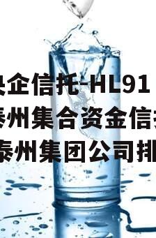 大央企信托-HL91号泰州集合资金信托计划,泰州集团公司排名