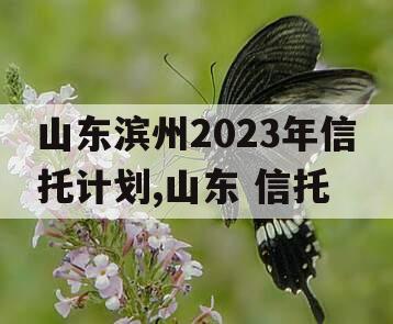 山东滨州2023年信托计划,山东 信托