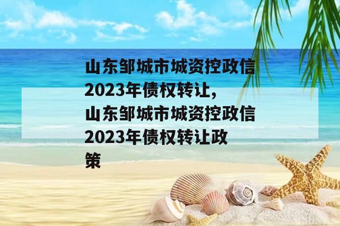 山东邹城市城资控政信2023年债权转让,山东邹城市城资控政信2023年债权转让政策