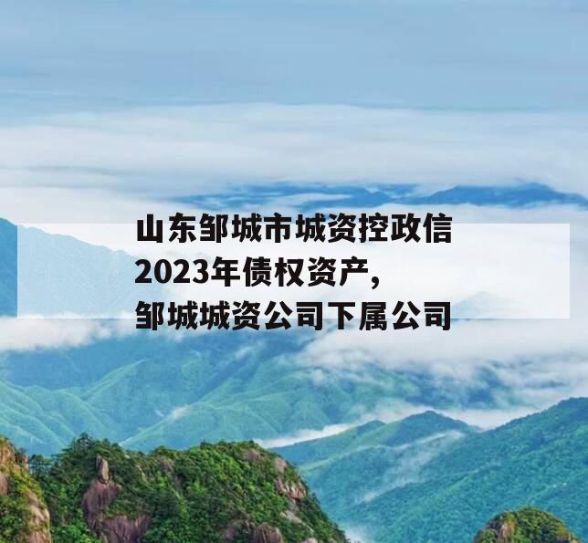 山东邹城市城资控政信2023年债权资产,邹城城资公司下属公司