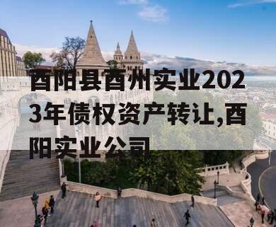 酉阳县酉州实业2023年债权资产转让,酉阳实业公司