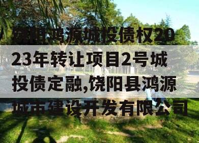 饶阳鸿源城投债权2023年转让项目2号城投债定融,饶阳县鸿源城市建设开发有限公司