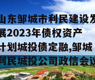 山东邹城市利民建设发展2023年债权资产计划城投债定融,邹城利民城投公司政信会议