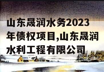 山东晟润水务2023年债权项目,山东晟润水利工程有限公司