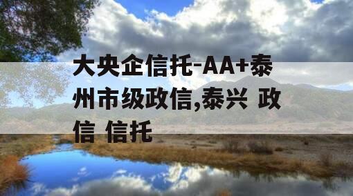 大央企信托-AA+泰州市级政信,泰兴 政信 信托