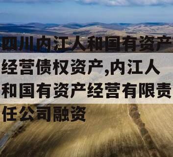 四川内江人和国有资产经营债权资产,内江人和国有资产经营有限责任公司融资