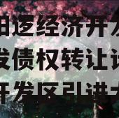 武汉阳逻经济开发区建设开发债权转让计划,阳逻开发区引进大项目