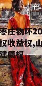 山东枣庄物环2023年债权收益权,山东枣庄城建债权