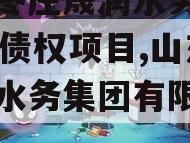 山东枣庄晟润水务2023年债权项目,山东晟润水务集团有限公司政信