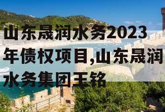 山东晟润水务2023年债权项目,山东晟润水务集团王铭