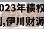 河南洛阳伊川财源实业投资2023年债权融资计划,伊川财源实业政信消息