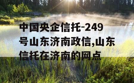 中国央企信托-249号山东济南政信,山东信托在济南的网点