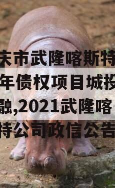 重庆市武隆喀斯特2023年债权项目城投债定融,2021武隆喀斯特公司政信公告