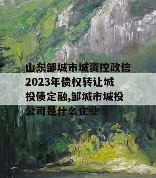 山东邹城市城资控政信2023年债权转让城投债定融,邹城市城投公司是什么企业