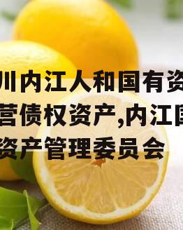 四川内江人和国有资产经营债权资产,内江国有资产管理委员会