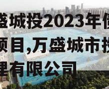 万盛城投2023年债权项目,万盛城市投资管理有限公司