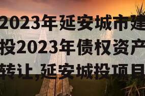 2023年延安城市建投2023年债权资产转让,延安城投项目