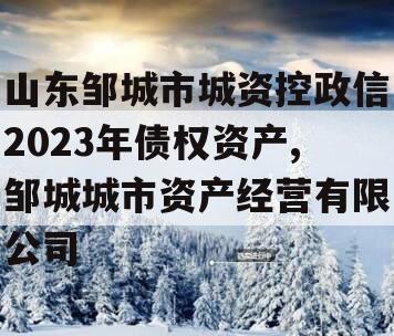 山东邹城市城资控政信2023年债权资产,邹城城市资产经营有限公司