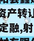 江苏射阳县鑫建债权2023年资产转让项目城投债定融,射阳鑫云新型建材有限公司