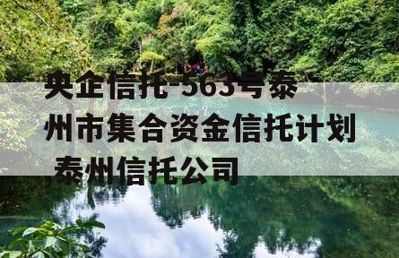 央企信托-563号泰州市集合资金信托计划,泰州信托公司