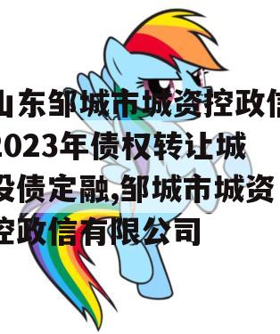 山东邹城市城资控政信2023年债权转让城投债定融,邹城市城资控政信有限公司