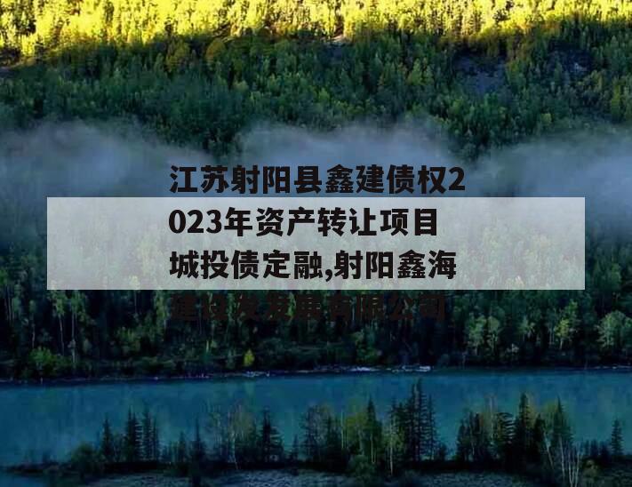 江苏射阳县鑫建债权2023年资产转让项目城投债定融,射阳鑫海建设发发展有限公司