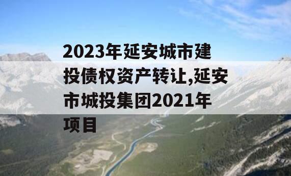 2023年延安城市建投债权资产转让,延安市城投集团2021年项目