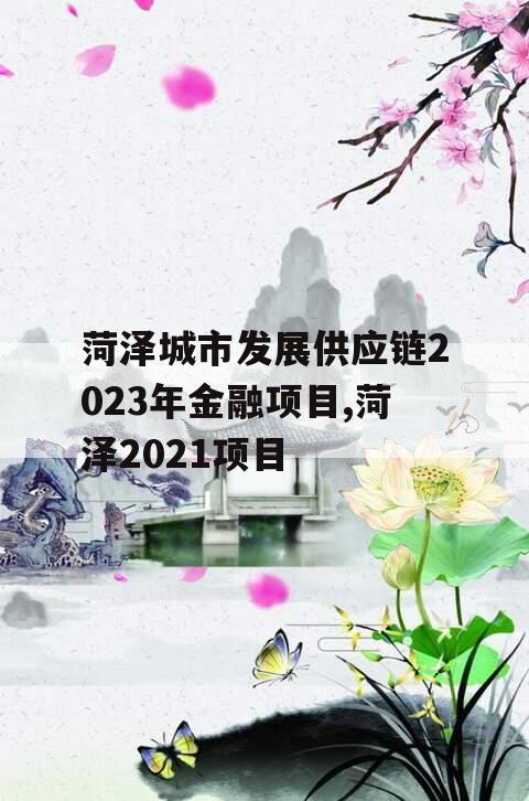 菏泽城市发展供应链2023年金融项目,菏泽2021项目