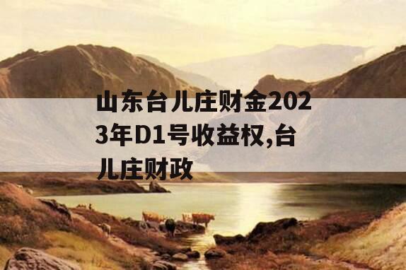 山东台儿庄财金2023年D1号收益权,台儿庄财政