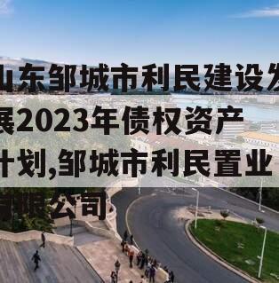 山东邹城市利民建设发展2023年债权资产计划,邹城市利民置业有限公司