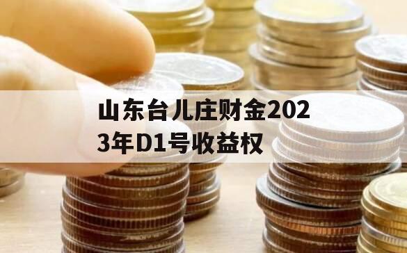 山东台儿庄财金2023年D1号收益权