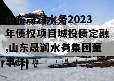 山东晟润水务2023年债权项目城投债定融,山东晟润水务集团董事长