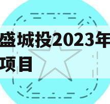 万盛城投2023年债权项目