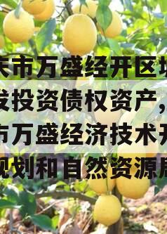 重庆市万盛经开区城市开发投资债权资产,重庆市万盛经济技术开发区规划和自然资源局