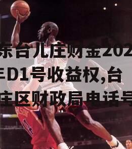 山东台儿庄财金2023年D1号收益权,台儿庄区财政局电话号码