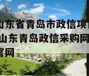 山东省青岛市政信项目,山东青岛政信采购网官网