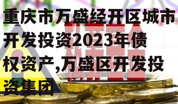 重庆市万盛经开区城市开发投资2023年债权资产,万盛区开发投资集团