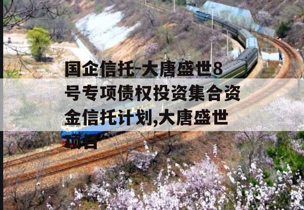 国企信托-大唐盛世8号专项债权投资集合资金信托计划,大唐盛世项目