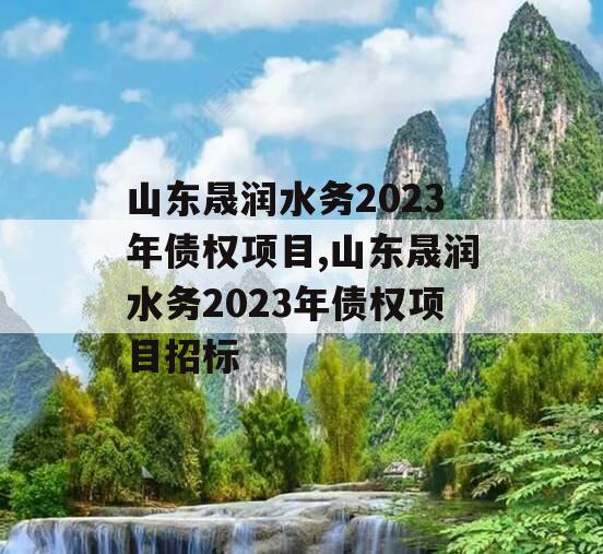 山东晟润水务2023年债权项目,山东晟润水务2023年债权项目招标