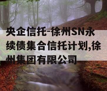 央企信托-徐州SN永续债集合信托计划,徐州集团有限公司