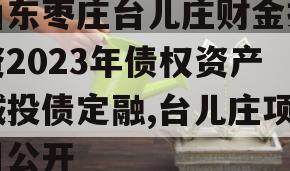 山东枣庄台儿庄财金投资2023年债权资产城投债定融,台儿庄项目公开