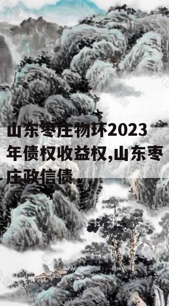 山东枣庄物环2023年债权收益权,山东枣庄政信债