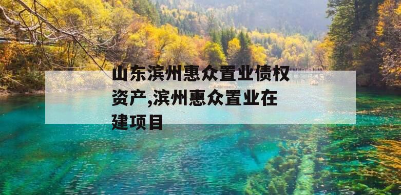 山东滨州惠众置业债权资产,滨州惠众置业在建项目