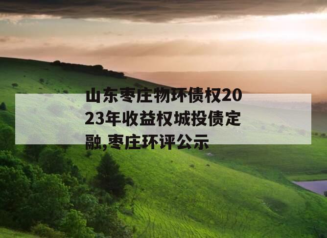 山东枣庄物环债权2023年收益权城投债定融,枣庄环评公示