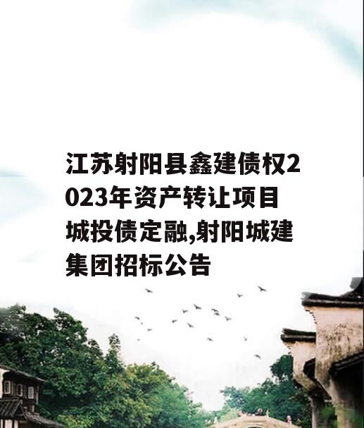 江苏射阳县鑫建债权2023年资产转让项目城投债定融,射阳城建集团招标公告