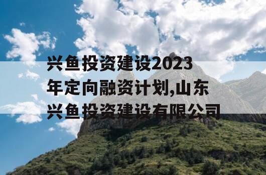 兴鱼投资建设2023年定向融资计划,山东兴鱼投资建设有限公司